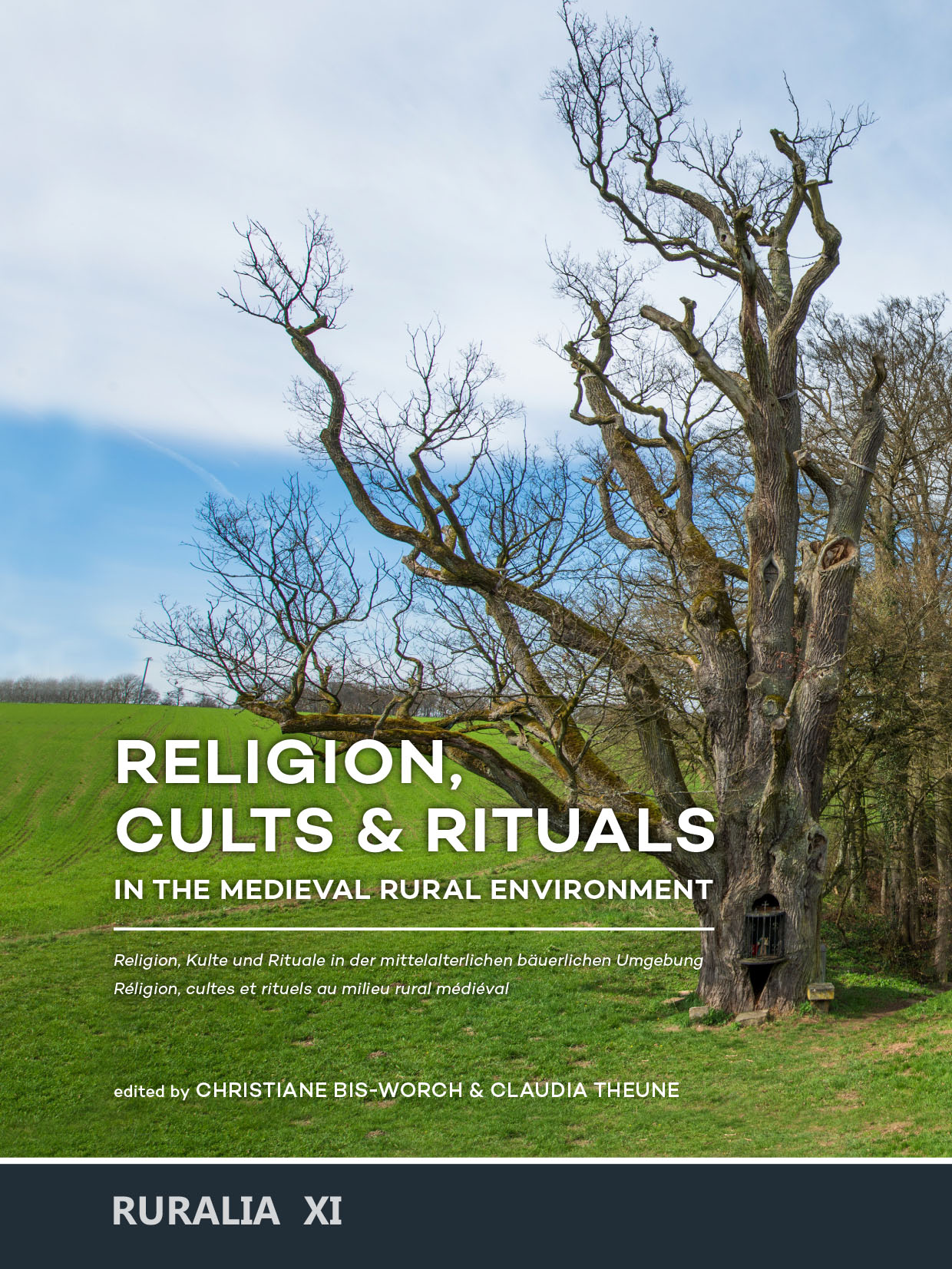 Výsledek obrázku pro Religion, cults & rituals in the medieval rural environment